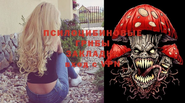 твердый Белокуриха